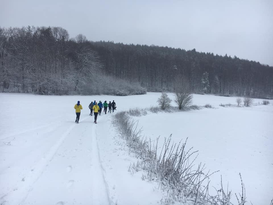 Mehrere Läufer in Schneelandschaft